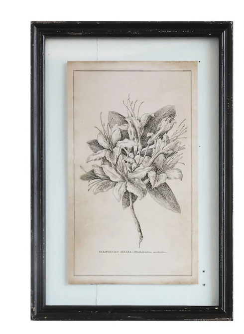 Framed Wall Decor with Floral Image