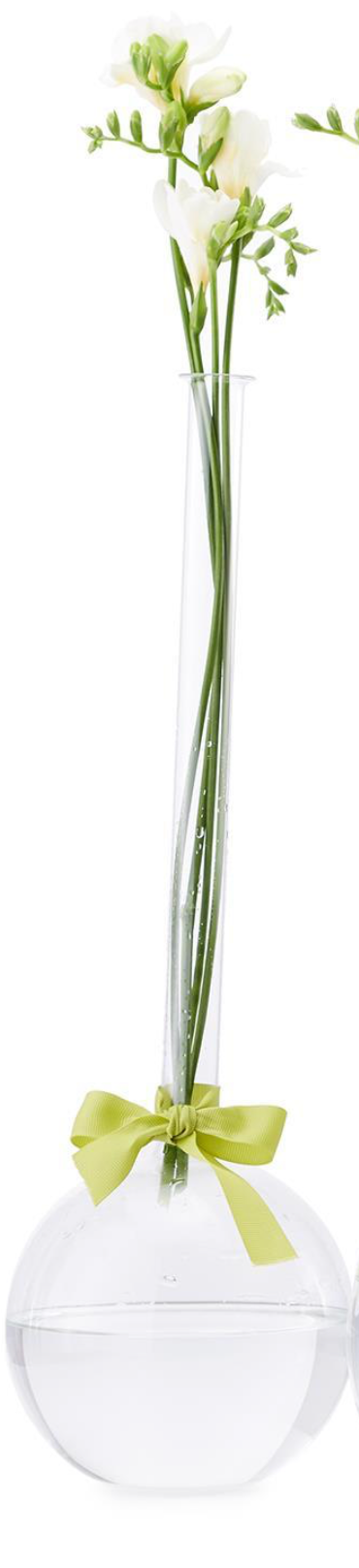 Sleek & Chic Vase Trio (sold separately)