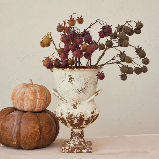 37.5" Rose Hip Stem