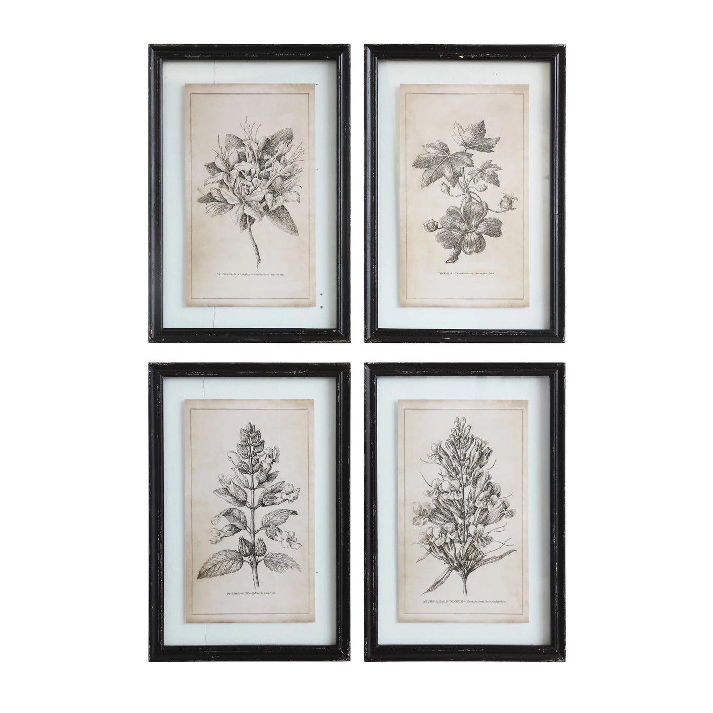 Framed Wall Decor with Floral Image